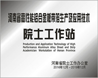 河南省院士工作站